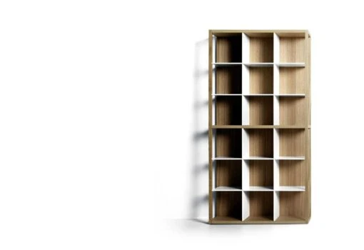 Tani Moto Bookshelf, 1991 -Fatboy Sales Store Depadova Vico Magistretti Tani Moto 1