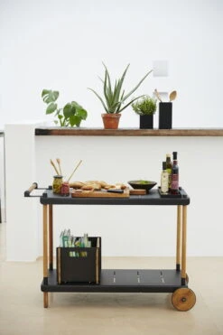 Cane-line Frame Trolley, Teak - Lava Grey -Fatboy Sales Store frame 08 F 28129